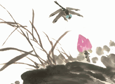 DƬ
