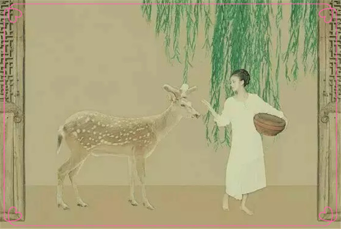 DƬ