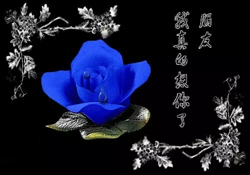 DƬ