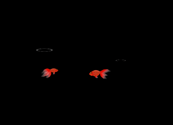 DƬ