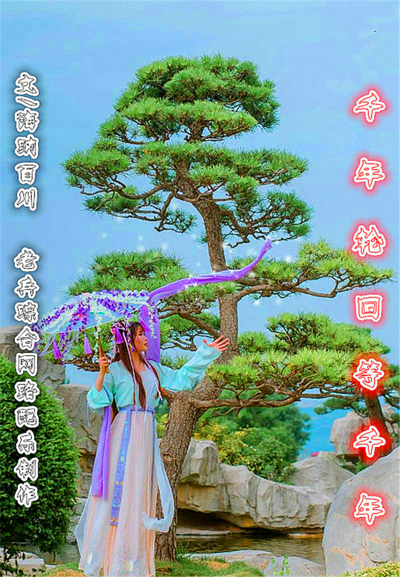 DƬ