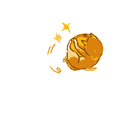 DƬ
