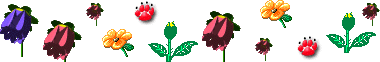 DƬ