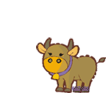 DƬ