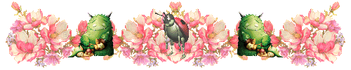 DƬ