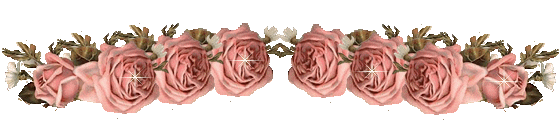 DƬ