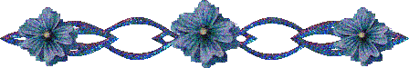 DƬ
