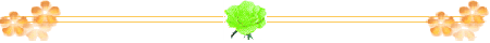 DƬ