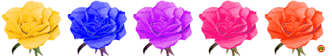 DƬ