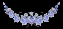 һƯbD