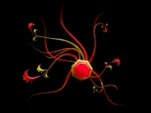 ڵŲʻy