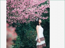 nӰ֮֮s