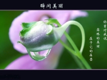˲g