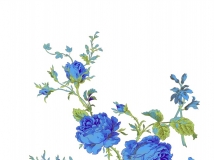 ĵ