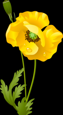 ڻ