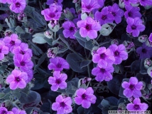 ĕ ɫ箋3