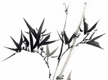 ˮīز