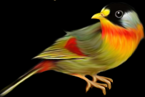 ƯBز