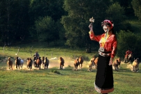 زġ