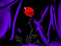 ˹(ji)ܰD3