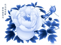 {ز